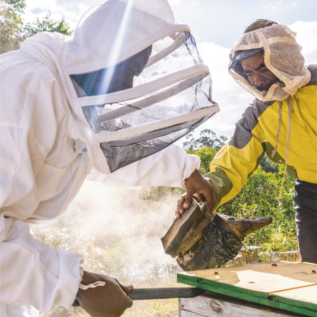 Miel de Jujubier de Madagascar, un miel rare et convoité dans le monde 250g